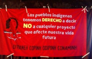A 30 años de la ratificación del Convenio 169: Entre el incumplimiento del Convenio y una reglamentación que resguarda los intereses extractivistas