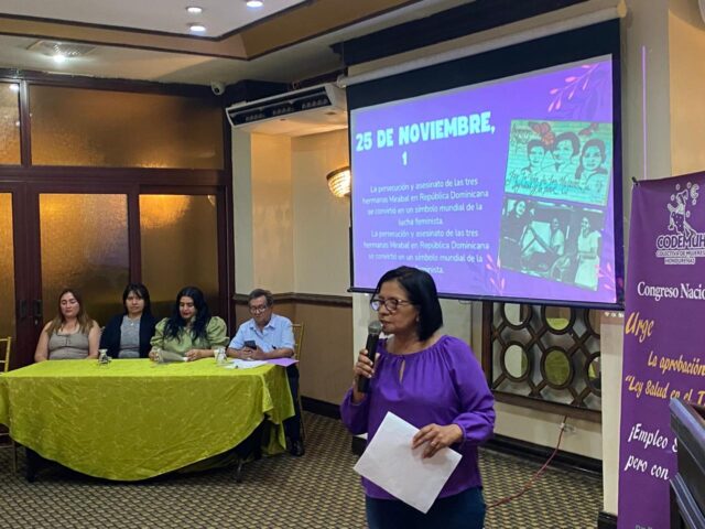La CODEMUH conmemora el Día Internacional de la Eliminación de la Violencia contra la Mujer