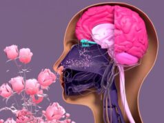 La parosmia: secuela del COVID-19 que distorsiona la percepción de los olores