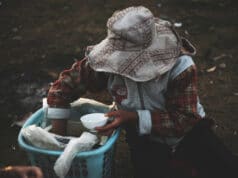 ¿En manos de quién están los 8 mil millones de lempiras emitidos para el agro en Honduras?