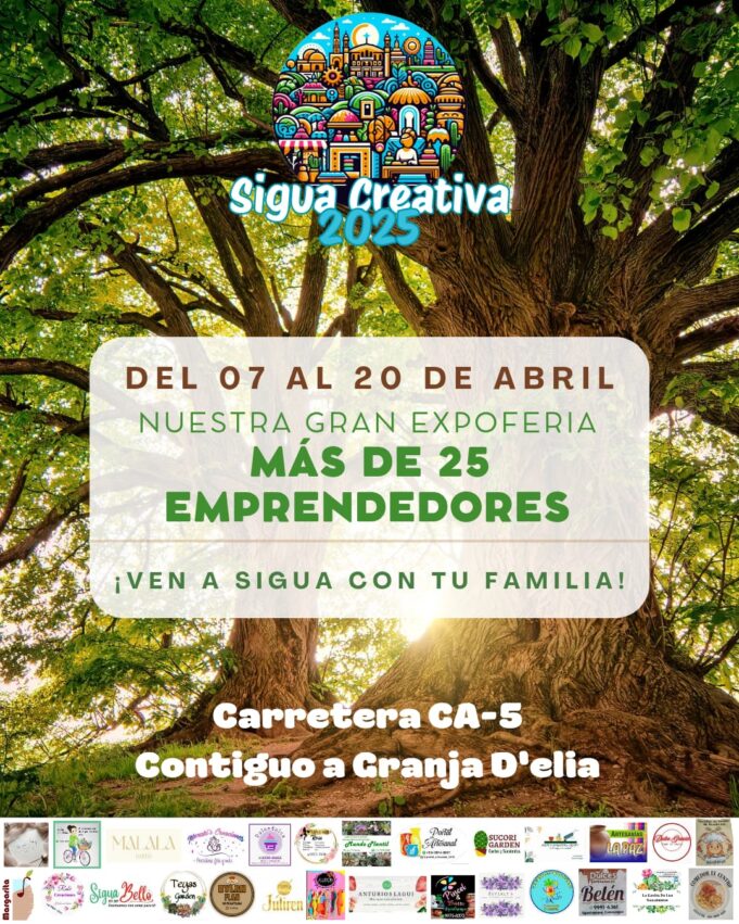 WhatsApp Image 2025-03-31 at 10.54.52