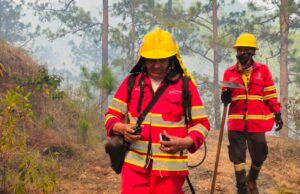 ICF procederá a la cancelación de planes de manejo en áreas afectadas por incendios forestales
