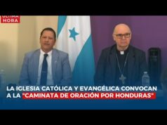 ¿Por qué la mayoría de los ataques a la caminata de las iglesias católica y evangélica vienen de simpatizantes del partido en el poder?