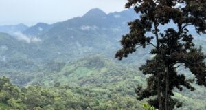 “Pulmón de San Pedro Sula en peligro”: alertan riesgos tras propuesta de convertir el Merendon en Parque Nacional