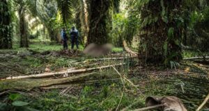Indignación nacional por asesinatos múltiples