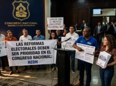 Las reformas electorales deben ser prioridad en el Congreso Nacional: REDH
