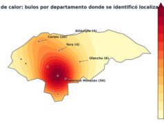 Seis de cada diez declaraciones de políticos hondureños durante 2026 fueron falsas y engañosas